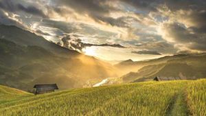 sun shining through clouds on a rice field