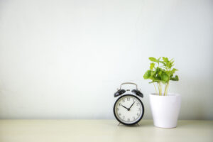 Indoor plant and clock on wooden table and white wall