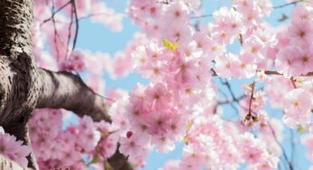 Analytics Roundup – Updates from April 2025