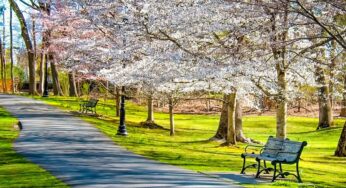 Digital Marketing Updates: May 2025